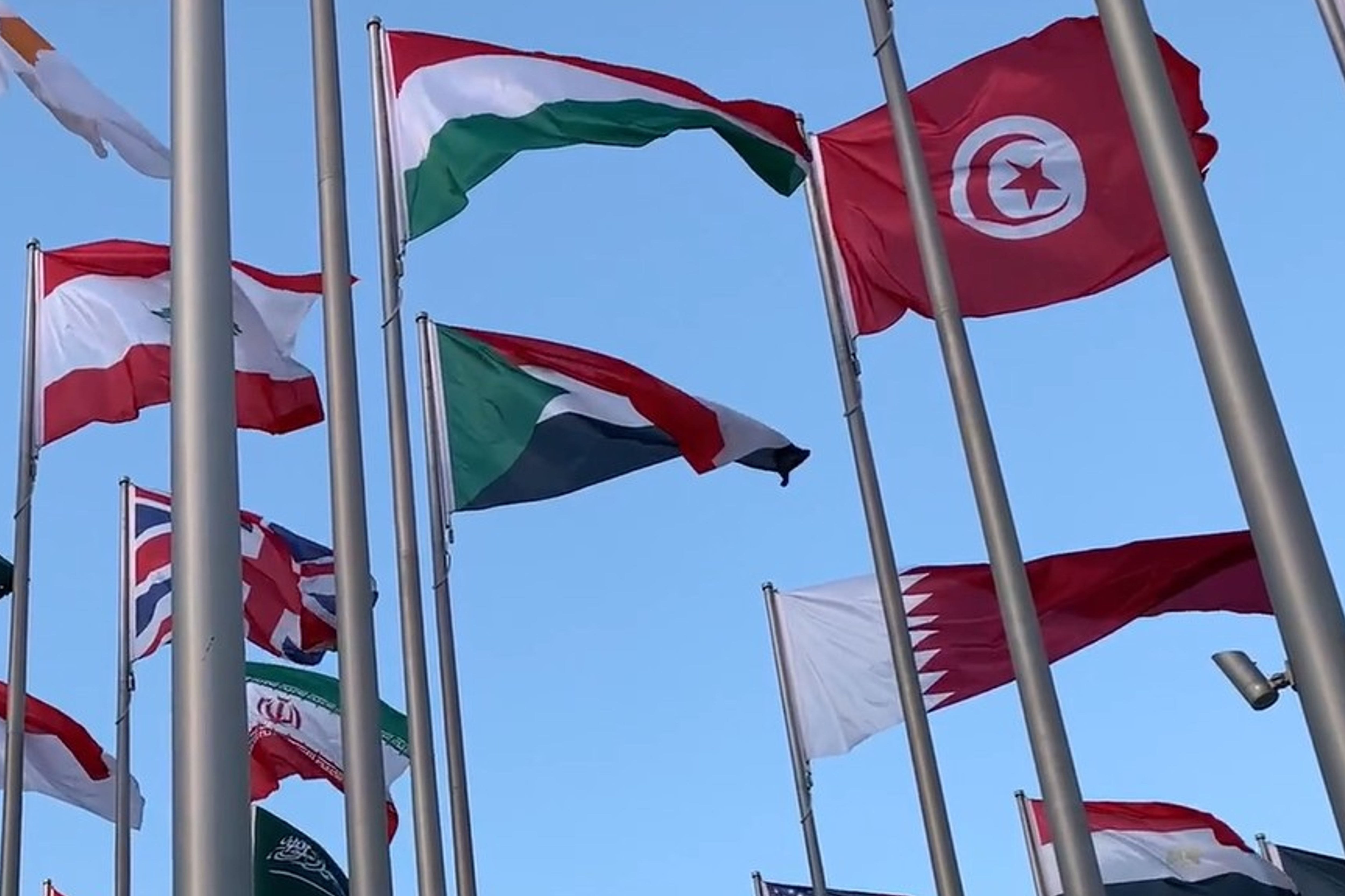 Développement international